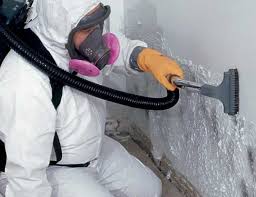 Best Mold Odor Removal Services  in Fort Worth, TX